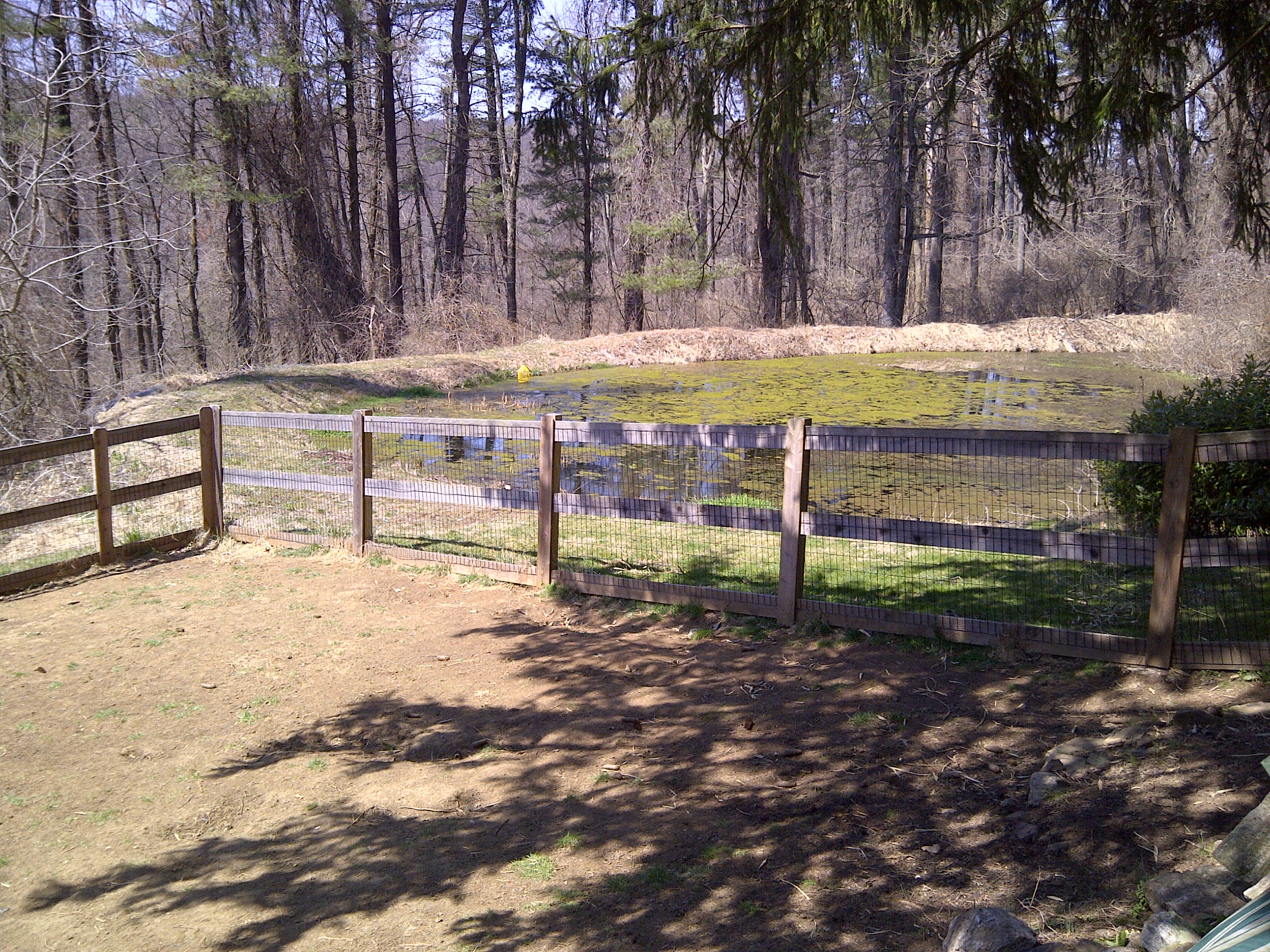 BackCottagetoPond
