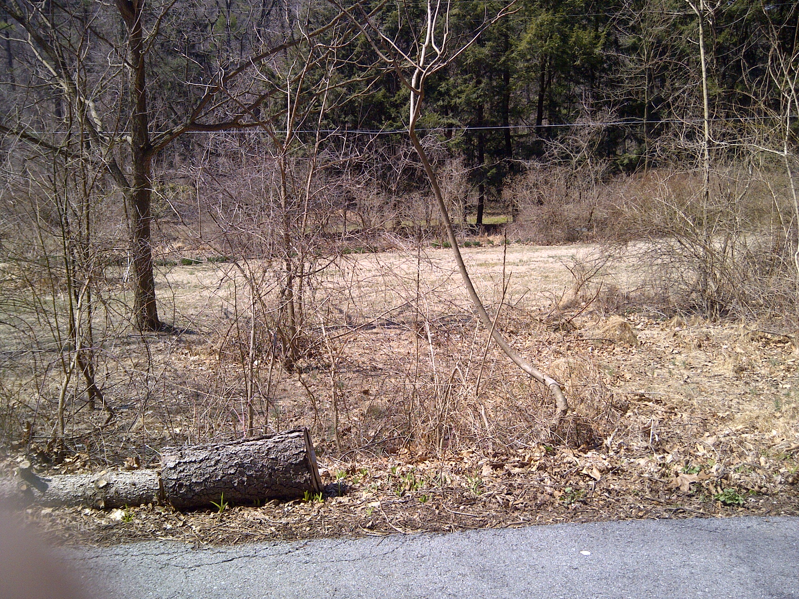 LowerPasture