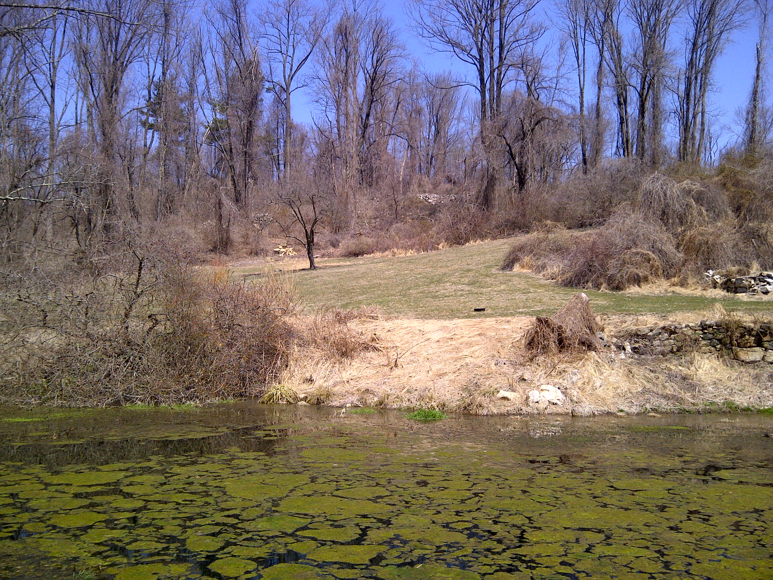 PondtoBackPasture