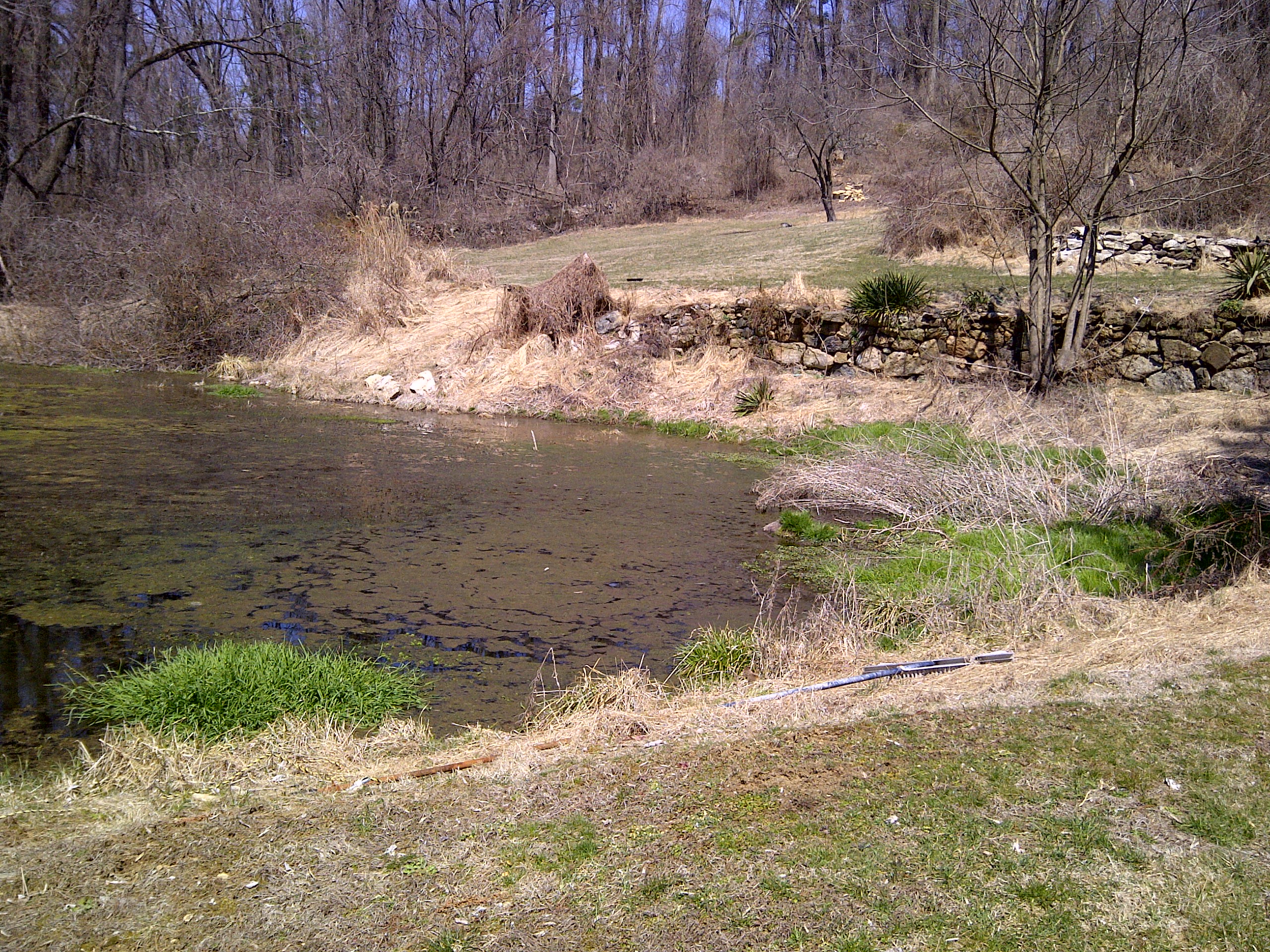 PondtoPasture