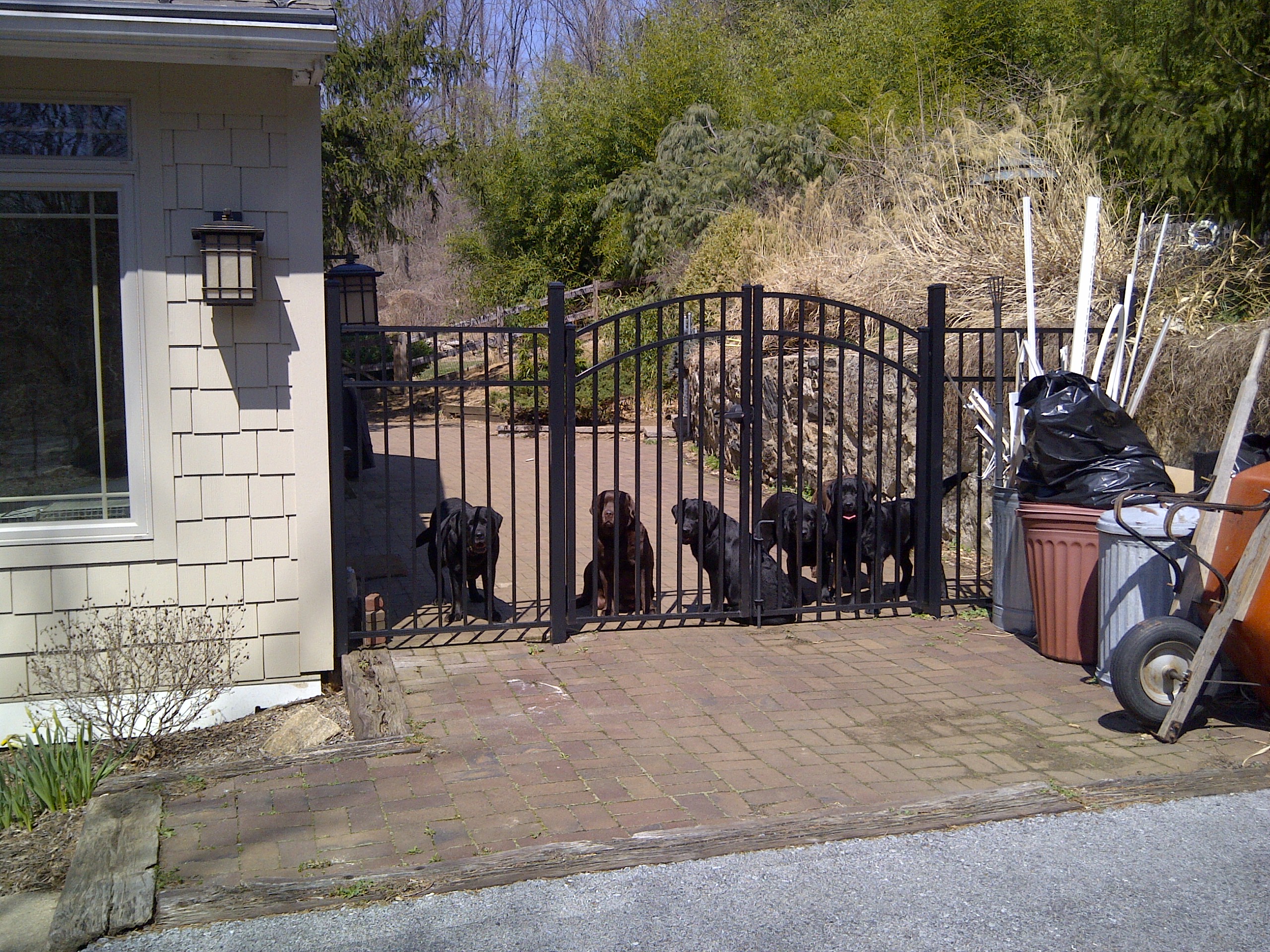 Gate
